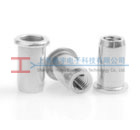 鋁質 鋼質 不鏽鋼 PolyGrip 鉚螺（luó）母（mǔ）