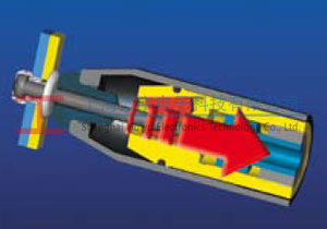 GESIPA程序-決定性優勢：