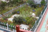 河南汙水（shuǐ）處理設備（bèi）工（gōng）作過程